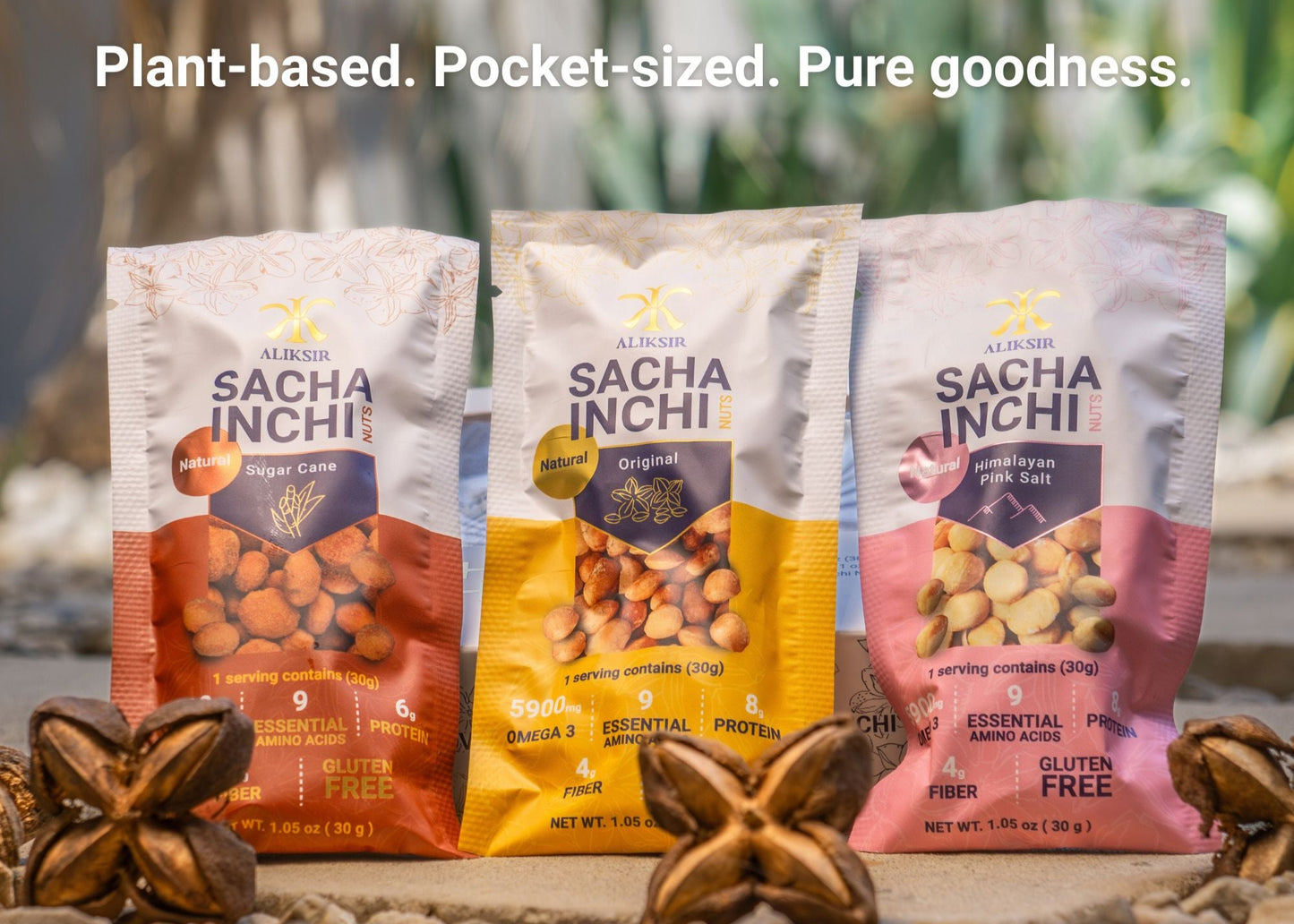 SACHA INCHI SNACK VARIETY BOX (6 PACKS)